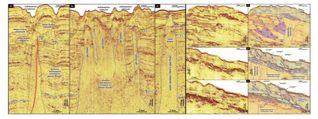 Research progress on gas-bearing fluidsmigrations in the Shenhu Area