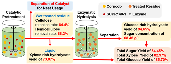 A Stable Solid Acid Catalyst was Synthesized Through a Simple Sulfonation for Pretreatment of Lignocellulose in Aqueous Solution