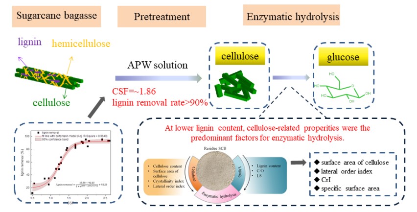 Mild Organosolv Pretreatment of Lignocellulose for Enhanced Sugar Production